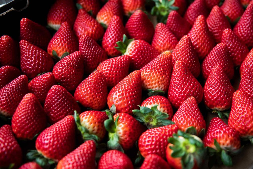 Heavenly Strawberries | The Herdsman