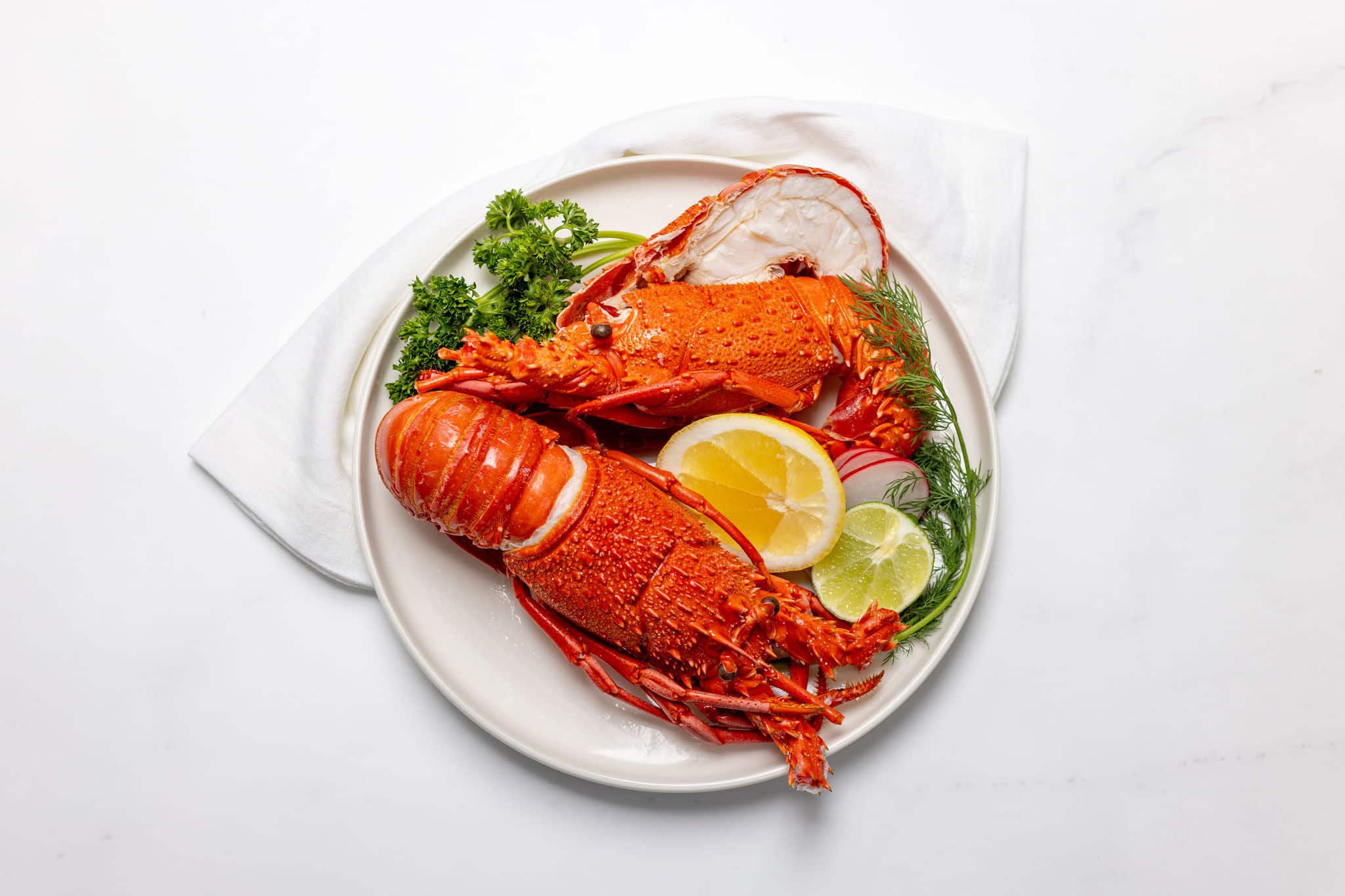 TH 2510 46 Rottnest Large Crayfish TH 2510 46 Rottnest Large Crayfish