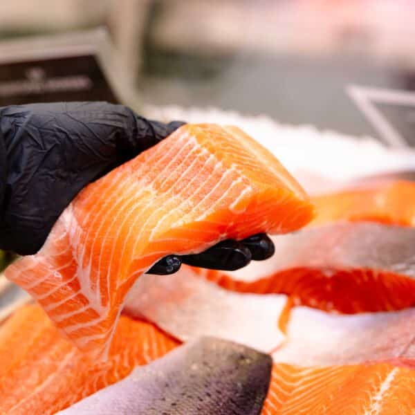 fresh line caught salmon